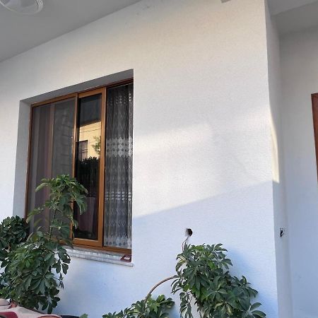David Guesthouse Shkodër Exterior foto